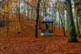 Gdzie na jesienny spacer w Gdańsku? Park Leśny przy Jaśkowej Dolinie w czerwieni wprost zachwyca! 