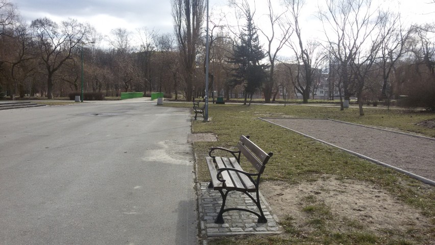 W Parku Sieleckim w Sosnowcu zrewitalizują alejki ZDJĘCIA