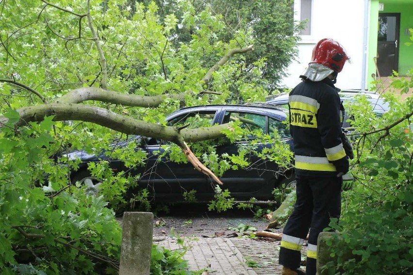 Wrocław: Drzewo runęło na ulicę. Zniszczyło samochody