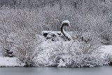 Kazimierza Wielka po nocnej śnieżycy wygląda jak z zimowej bajki. Pod białą pierzyną prezentuje się zjawisko. Zobaczcie zdjęcia