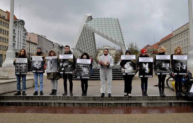 Protestowali przeciwko hodowli zwierząt na futro