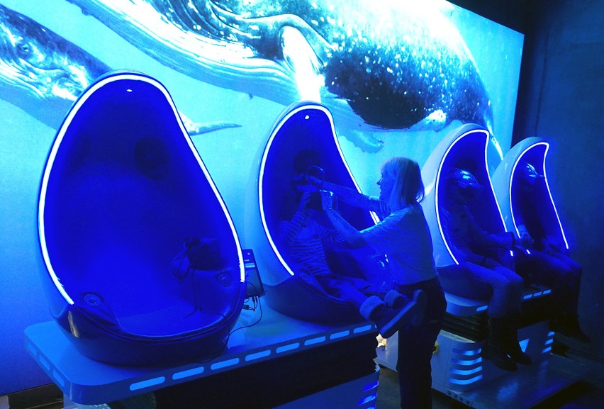 Nurkowanie z rekinami i pływanie z humbakami w łódzkim zoo! Technologia VR tylko w Orientarium w Łodzi. ZDJĘCIA