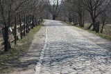 Ulica Ślęzoujście idzie do remontu. To ważny punkt w ochronie przeciwpowodziowej Wrocławia