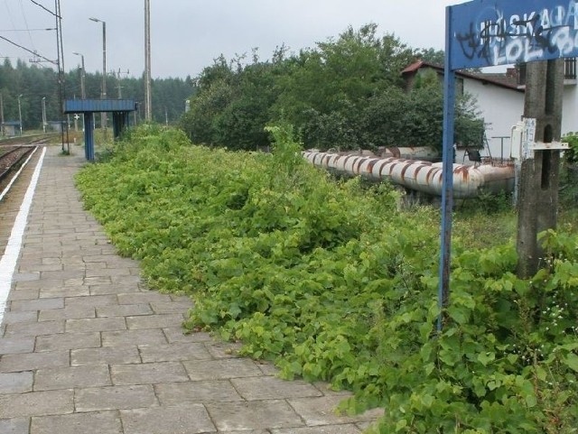 Chuligani przesiadują często na peronie kolejowym.