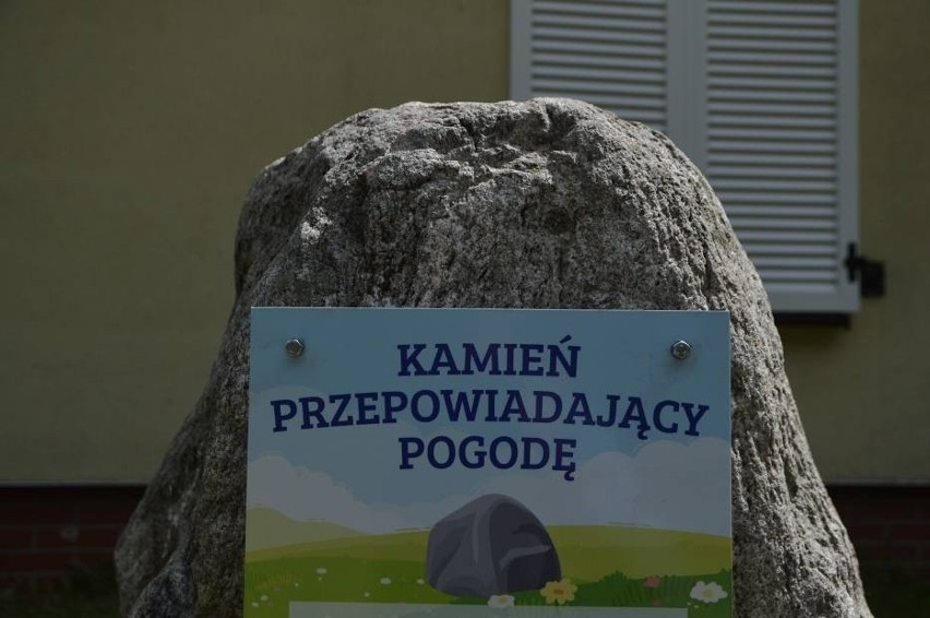 Koczała: Ten kamień przepowiada pogodę! I działa! "To pomysł zaczerpnięty z internetu. Lubimy takie wyzwania" 