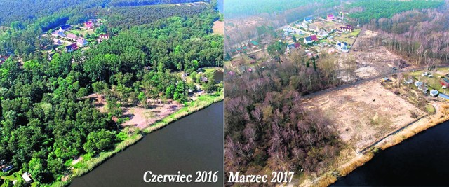 Z lewej widać, jak jeszcze w czerwcu ubiegłego roku, wyglądał teren przy ulicy Spadochroniarzy Polskich w Dziwnowie. Zieleń cieszyła oczy. Natomiast na zdjęciu z prawej, jest to samo miejsce ogołocone z drzew. Widok przygnębiający 