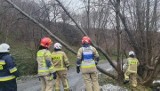 Silny wiatr w Małopolsce. Strażacy mają pełne ręce roboty! 