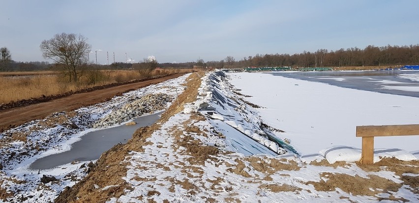 Będą czyścić Łarpię w okolicy Polic. To ratunek dla rzeki zasypanej przez urobek. ZDJĘCIA