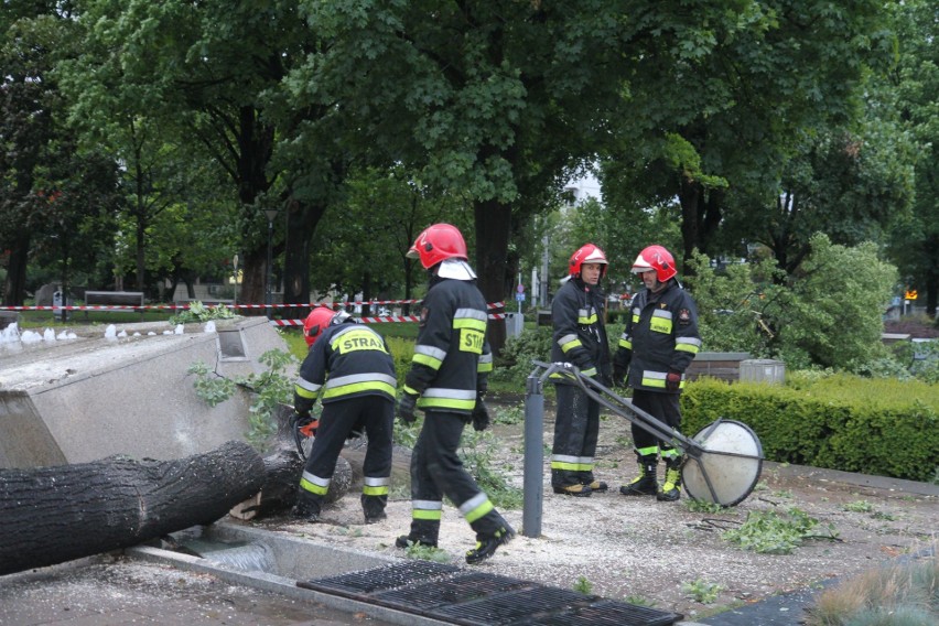 Deszcz i wiatr we Wrocławiu. Tynk odpada z budynków, drzewo runęło na fontannę [ZDJĘCIA]