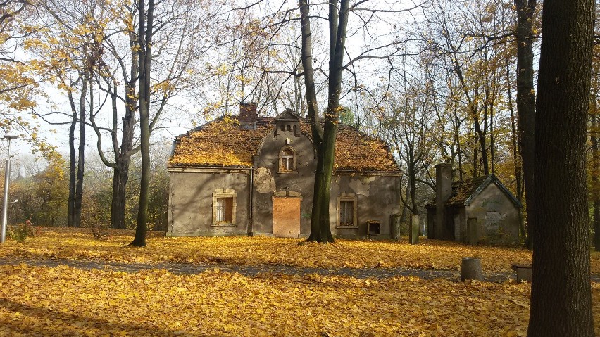 Jesień w Parku Zamkowym w Mysłowicach