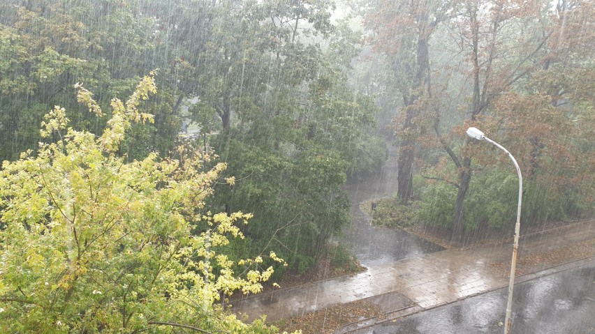 Burza w Łodzi w sobotę 5 września. Nawałnica z deszczem przeszła przez miasto