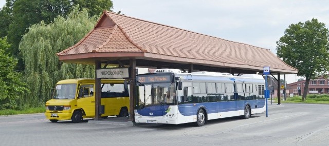 Gmina Niepołomice jest objęta komunikacją MPK od  grudnia 2010 roku. Przez osiem lat nie dołożono ani jednego kursu