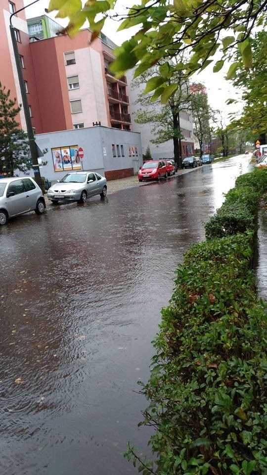 Orkan Grzegorz w Zabrzu: szkody są znaczne. Powalone drzewa, uszkodzone budynki, zalane ulice