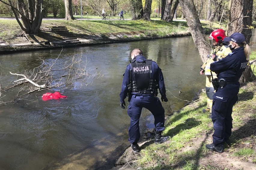 W poniedziałek około godziny 14.15 Policja oraz Straż...