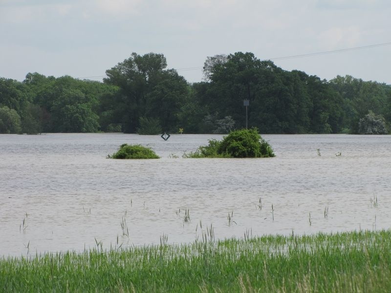 Bytom Odrzański (24.05.2010)