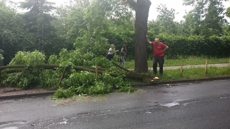 BURZE W ŁODZI, BURZE W POLSCE. MAPA BURZ, GDZIE JEST BURZA,...