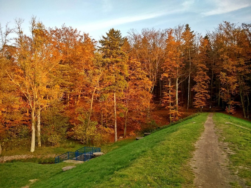 Jesień w parku