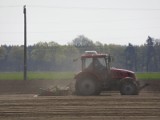 Opolscy rolnicy dostaną wsparcie od rządu. Nasze województwo zostało oficjalnie uznane za region objęty suszą