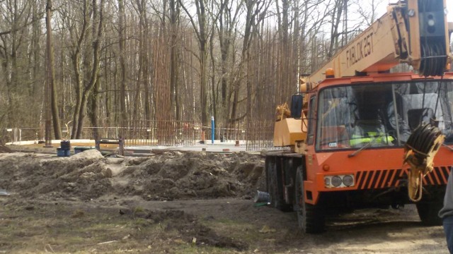 Budowa biurowców w Muchowcu, tuż przy granicy z Katowickim Parkiem Leśnym i Doliną Trzech Stawów