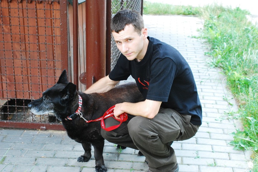 Wizyta w rudzkim schronisku dla zwierząt: Beluś to szeryf schroniska