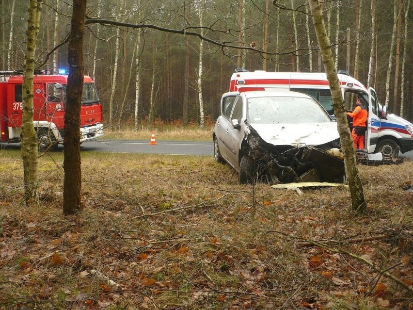 Kraksa Pod Skwierzyną. Samochód Zjechał Z Drogi W Las [Zdjęcia] | Polska Times