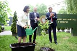 Gratulacje dla pracowników i jubileuszowy dąb. ARiMR świętowała ćwierćwiecze