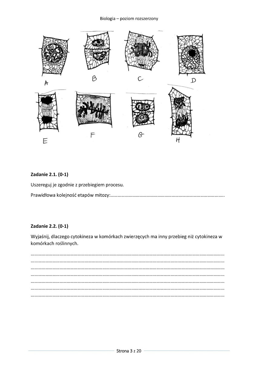 Matura próbna 2022. Biologia (poziom rozszerzony) - ZADANIA [ARKUSZE]