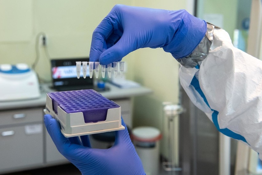 Domowe testy na koronawirusa będą dostępne w Niemczech.