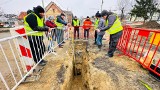 Odkrycie na Dolnym Śląsku! Odkopane piwnice mogą pochodzić ze średniowiecza! Zobacz co znaleziono w Ziębicach [ZDJĘCIA]