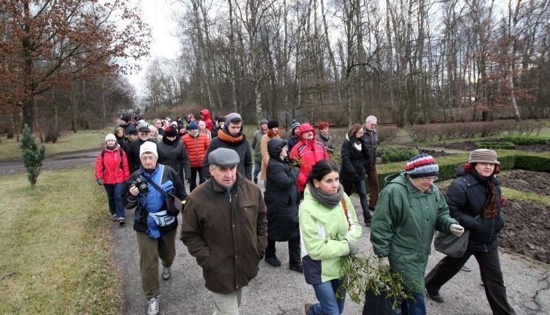 Spacer w botaniku w pierwszy dzień astronomicznej zimy [zdjęcia]