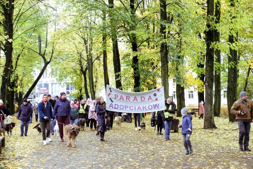 "Parada Adopciaków", czyli akcja promująca adopcję psów z...