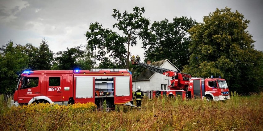 Oderwana gałąź uszkodziła dach domu w Stalach. Interweniowali strażacy (ZDJĘCIA)