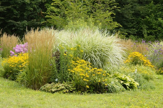 Urządzając ogród, weźmy pod uwagę wymagania roślin, szczególnie ich odporność na mróz.