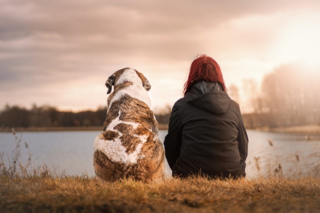 Mnóstwo właścicieli psów zastanawia się nad tym, jak wygląda psia miłość i czy ich pupil kocha. Sposoby, w jaki czworonogi okazują miłość różnią się od ludzkich gestów. Poznaj 5 oznak na to, z twój pies darzy cię ogromnym uczuciem. Sprawdź >>>