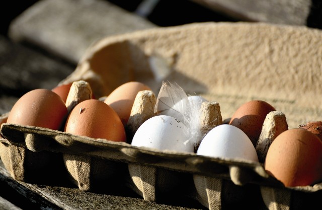 Sieć handlowa Biedronka poinformowała o wycofaniu ze sprzedaży kilku partii jajek dostarczanych przez firmę Jantex Polska. Powodem jest "stwierdzenie niezgodności" w ściółce w jednym z kurników, z którego jaja podochodzą.