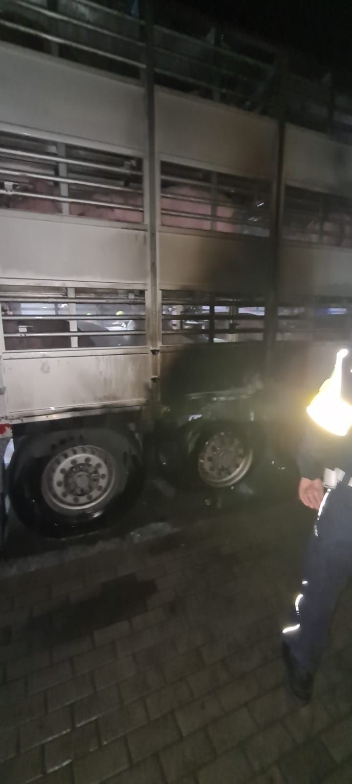 Na drodze krajowej nr 10, między Stargardem a Krąpielą, zapaliła się ciężarówka przewożąca kilkaset świń. Cztery świnie nie przeżyły