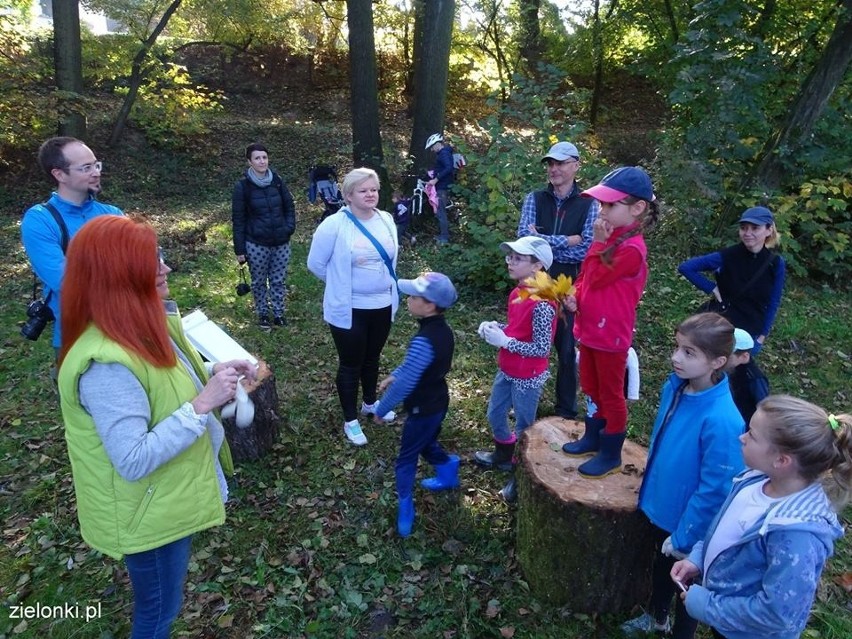 Półdziki skwer w Zielonkach pod lupą najmłodszych odkrywców przyrody