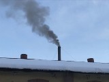Nowoczesna apeluje do prezydenta Przemyśla o podjecie skuteczniejszej walki ze zjawiskiem smogu