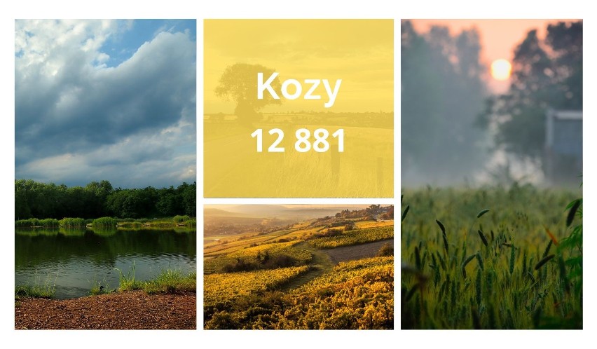 15 największych wsi pod względem ludności w województwie Śląskim. Są większe od niektórych miast w regionie