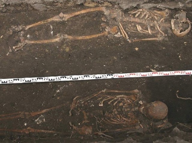 Te dwa szkielety ludzkie odkryto podczas badań archeologicznych w Wiślicy.