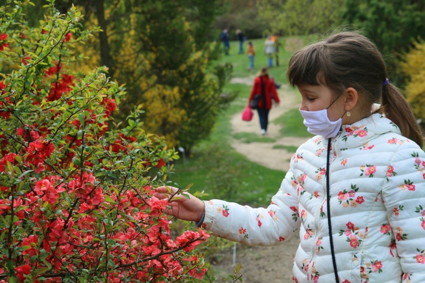 Ogród Botaniczny UMCS jest już otwarty. Jak wygląda zwiedzanie podczas pandemii? 