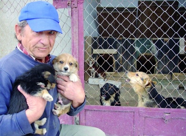 - W nowym schronisku psiaki będą czuły się dużo lepiej - mówi Wiesław Daszkiewicz, opiekun zwierząt z azylu w Siedliskach