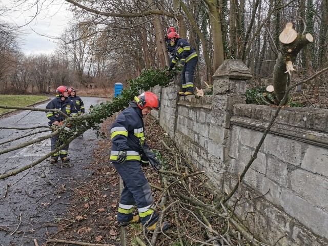 W poniedziałek od wczesnych godzin rannych strażacy z Przemyśla odbierają zgłoszenia o powalonych drzewach i konarach na drogach i samochodach. Do groźnego zdarzenia doszło na drodze krajowej nr 28 w Dybawce, gdzie na busa spadły gałęzie i uszkodziły pojazd.