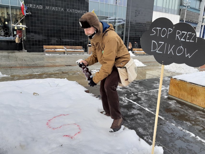 Zapowiedź akcji Stop rzezi dzików w Katowicach