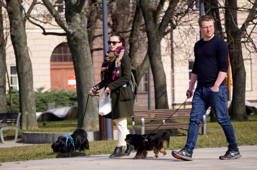 Wiosnę czuć w powietrzu. Lublinianie wykorzystali piękną pogodę i wybrali się na niedzielny spacer [ZDJĘCIA]