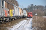 Rolnik wykoleił pociąg w Parkowie