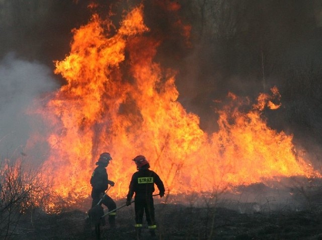 Każdego dnia strażacy z naszego regionu wyjeżdżają do kilku pożarów suchych traw. Podpalacze nie zdają sobie sprawy z zagrożenia, jakie stwarzają.