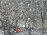 Potężne śnieżyce nadciągają nad Podkarpacie. Intensywne opady mają trwać dwa dni. Prognoza pogody na weekend 1 do 3 grudnia