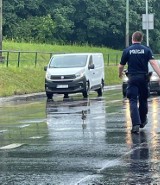 Kraków. Policjanci wstrzymali ruch na skrzyżowaniu, bo przez ulicę przechodziła kaczka