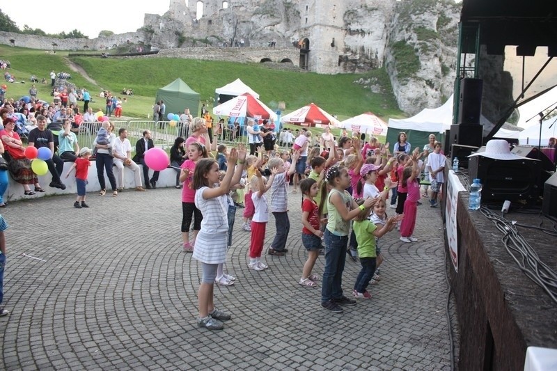 Piknik europejski na Zamku Ogrodzienieckim w Podzamczu za nami [ZDJĘCIA]